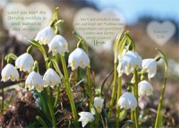 Postkarte - Herz - Kolosser 3,16